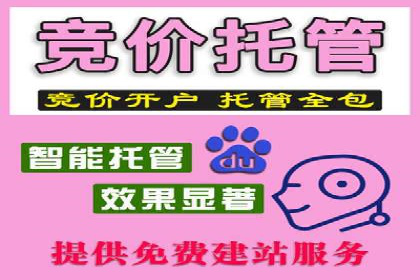 百度推广排名实战：一家小企业的逆袭之路